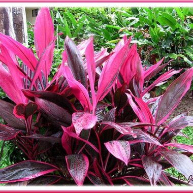 5660ca863e461590d885e7f8dfeeb836