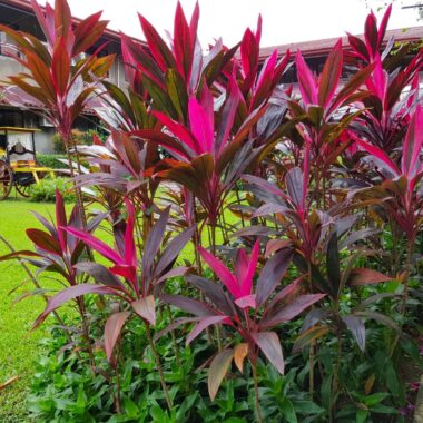 fcd28776c1dffe44b8a2d73d14a5f101