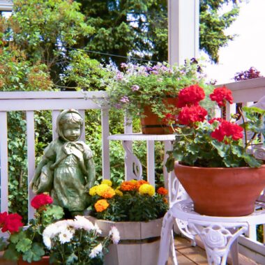 Container_garden_on_front_porch (Large)