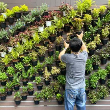 Vertical-garden-17-ways-to-have-a-green-wall-in-your-home