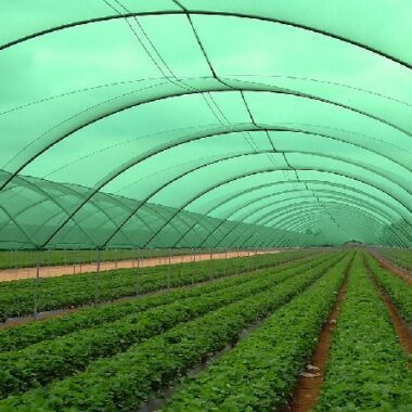 agro-shade-net-1588923291-5417547