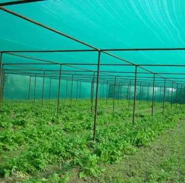 agro-shade-net-500x500