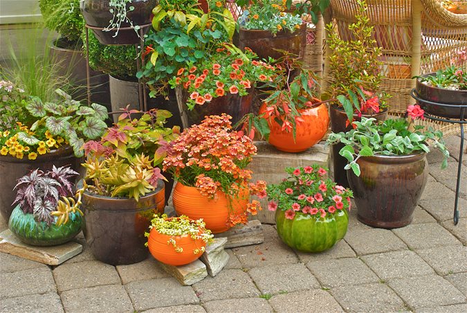 Container gardens