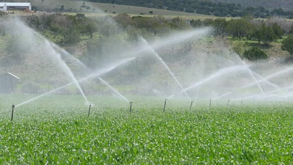 Sprinkler/drip system installation