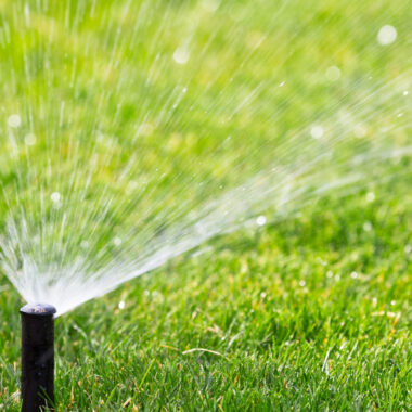 sprinkler-2-scaled