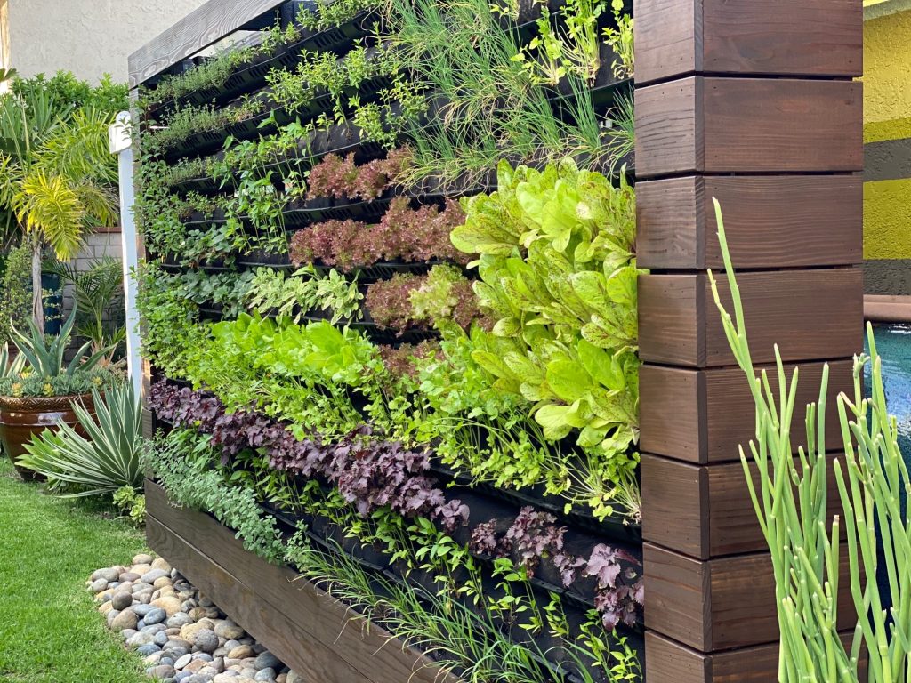 Vertical Garden Services in Ludhiana, Punjab